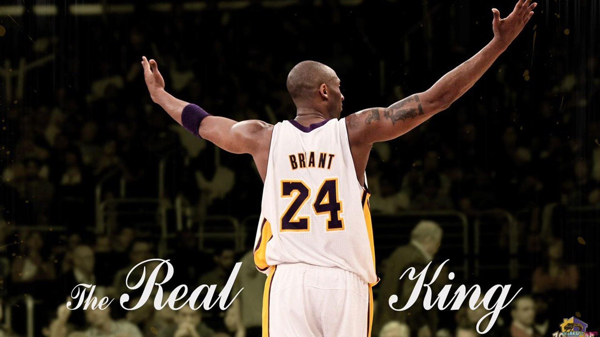 “迎难而上:极端天气中的生存与速度”,极端天气有利的一面